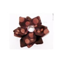 Double Brown Star Flower