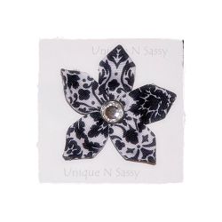 Black & White Star Print