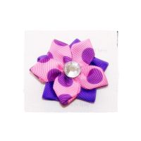 Double Pink and Purple Star Flower