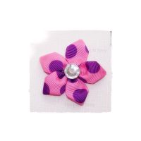 Pink and Purple Star Flower