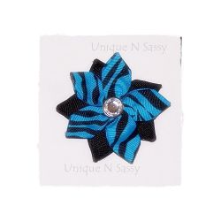 Double Zebra Star Flower